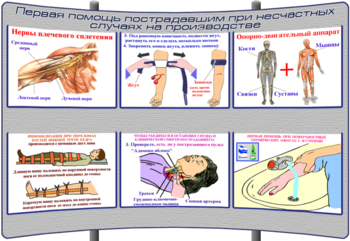 (К-ОТ-1) Первая помощь пострадавшим при несчастных случаях на производстве - Тематические модульные стенды - Охрана труда и промышленная безопасность - Кабинеты по охране труда kabinetot.ru